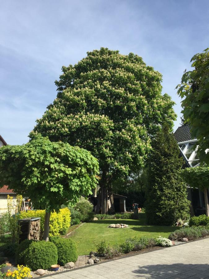 Villa "Auszeit" Hohen Neuendorf Buitenkant foto